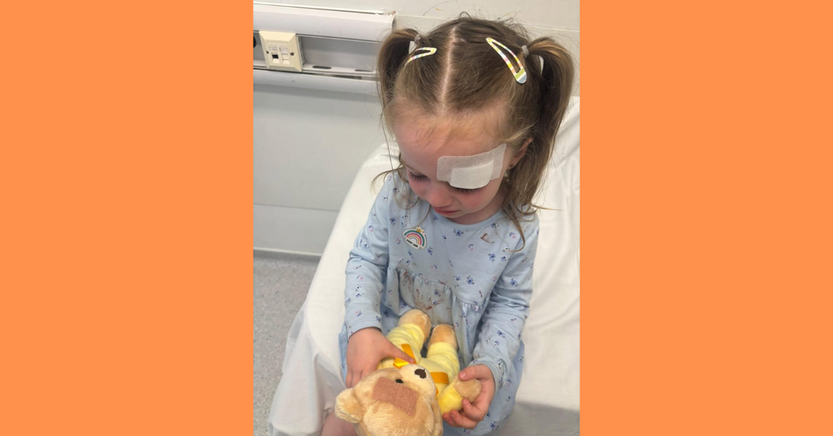 Meet Daisy – A Bear That Made a Big Difference